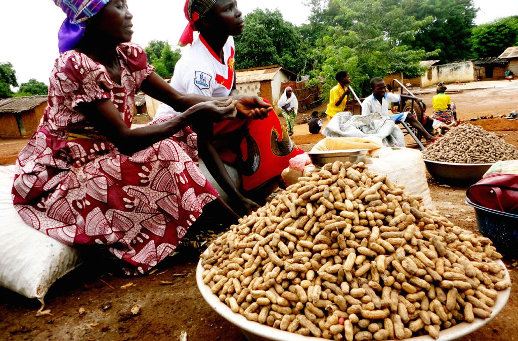 Kaolack/7ème édition de l’assise annuelle des opérateurs du marché extérieur de l’arachide : le Copega prêt à soutenir les producteurs et contribuer à la sécurité alimentaire