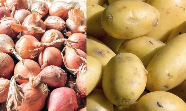 Chaînes de valeur horticoles : Une plateforme d’innovation pour la pomme de terre et l’oignon
