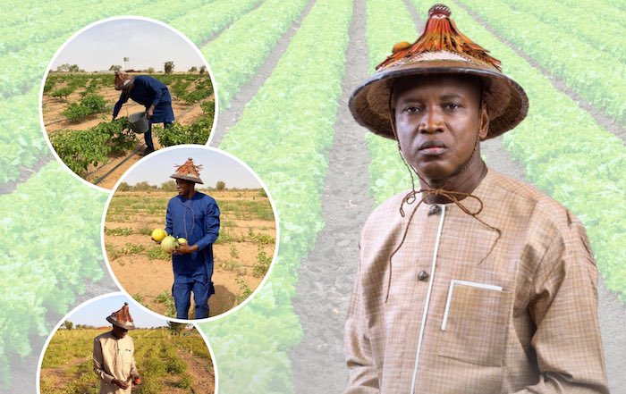 Aly Ngouille Ndiaye :  »Le capital semencier ne doit pas être en compétition avec les exportations d’arachide »