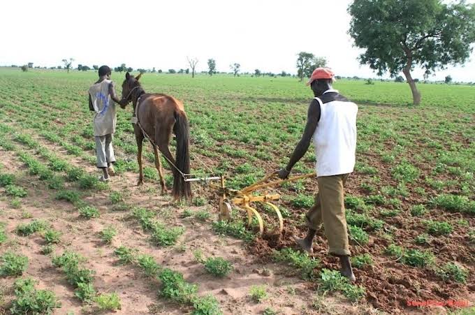 Campagne agricole 2026: L’État mobilise 130 milliards de FCfa