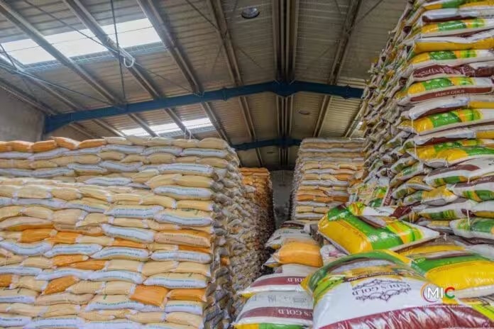 LA CRISE DU RIZ LOCAL RELANCE LE DÉBAT SUR LA COMPÉTITIVITÉ DE LA PRODUCTION SÉNÉGALAISE